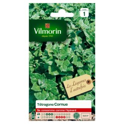 TÉTRAGONE Cornue SACHET...