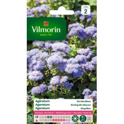 AGERATUM Roi des bleus...