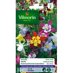 VILMORIN ANCOLIE Étoile...