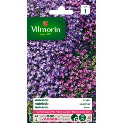 VILMORIN AUBRIÉTIA Variée...
