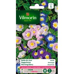 VILMORIN BELLE DE JOUR...