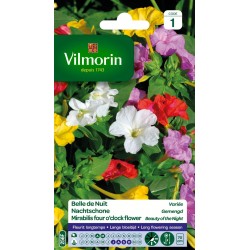 BELLE DE NUIT variée SACHET...