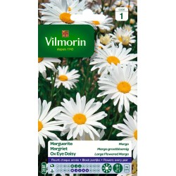 MARGUERITE Margo SACHET...