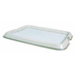 Toilette pour chiot puppy...