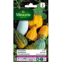VILMORIN COLOQUINTE Variée...