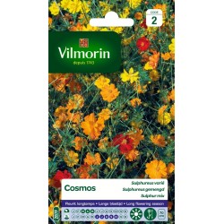 VILMORIN COSMOS Sulphureus...