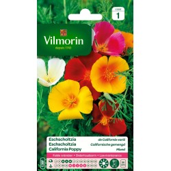 ESCHSCHOLTZIA De californie...