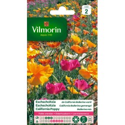 ESCHSCHOLTZIA De californie...