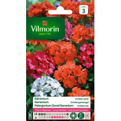 GERANIUM Cricket varié...