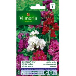 VILMORIN GIROFLÉE D'HIVER...