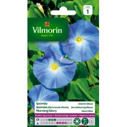 IPOMÉE Géante bleue SACHET...