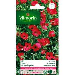 LIN De venise SACHET...