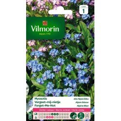 MYOSOTIS Des alpes bleu...