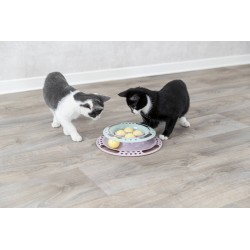 Junior kitten circle ø24