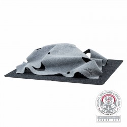 Cat activity adventure...