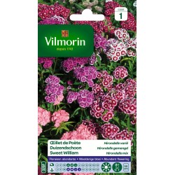 OEILLET DE POÈTE Hirondelle...