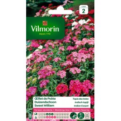 OEILLET DE POÈTE Tapis des...