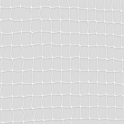 Filet protection 4x3m-transp