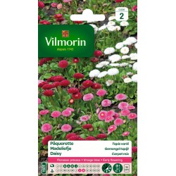 PÂQUERETTE Tapis varié...