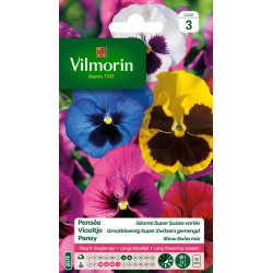 PENSÉE Géante super suisse...