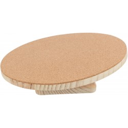 Disque d'exercice Ø30cm...