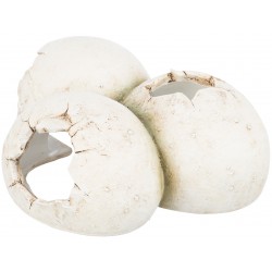 Abri pour reptiles 15x6x12...