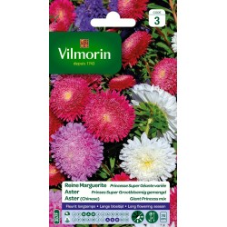 VILMORIN REINE MARGUERITE...