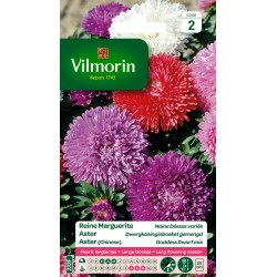 VILMORIN REINE MARGUERITE...