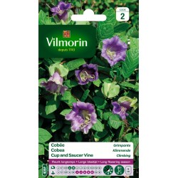 VILMORIN COBÉE Grimpante...