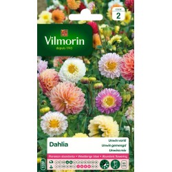 VILMORIN DAHLIA Unwin Varié...