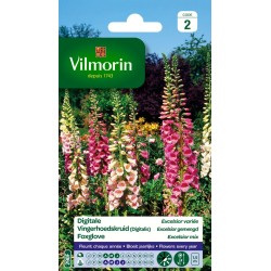 DIGITALE Excelsior variée...