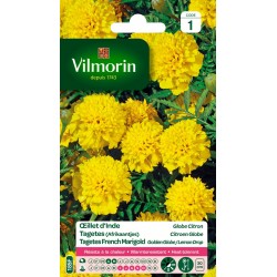 VILMORIN OEILLET D'INDE...