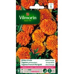 VILMORIN OEILLET D'INDE...