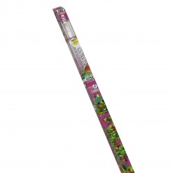 JBL Solar color t5 ultra...