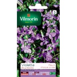 VILMORIN VIOLETTE Des 4...