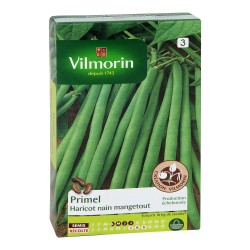HARICOT nain mangetout...