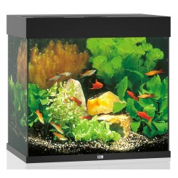 Aquarium LIDO 120 LED Noir...