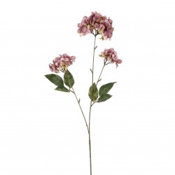 Tige D'Hortensia Violet En...