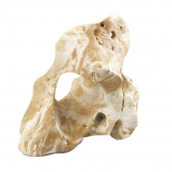 DECOR COMBO FELLA M...