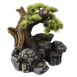 DECOR BONSAI S/M...