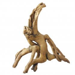 DECOR RACINE MANGROVE M/L...