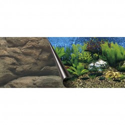 Poster fond d'aquarium SEA...