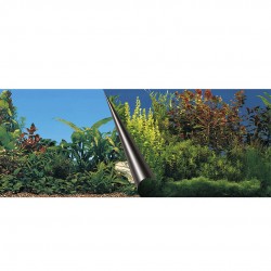 Poster fond d'aquarium...