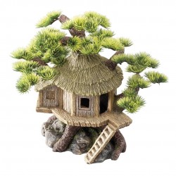 DECOR BONSAI HOUSE...