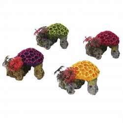 CORAIL SET A/PLANTES MINI...