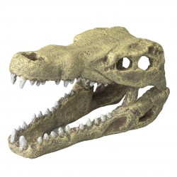 TETE DE CROCODILE M 19.5CM...