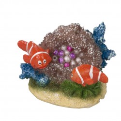 POISSON CLOWN + PERLES AQUA...