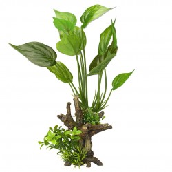 PAYSAGE DE FLORE 7 S...