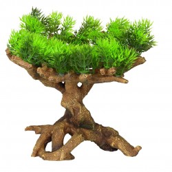 PAYSAGE DE FLORE 11 M AQUA...