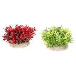 PLANTE MIRACLE MOSS S H7.5...